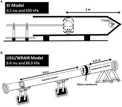 A Comparative Study of Two Blast-Induced Traumatic Brain Injury Models: Changes in Monoamine and <mark class="highlighted">Galanin</mark> Systems Following Single and Repeated Exposure
